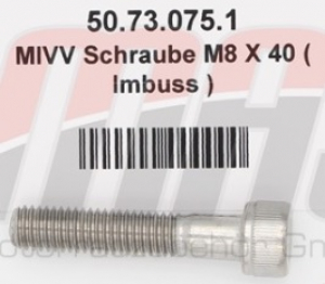 MIVV bout M8 x 40 inbus RVS 50.73.075.1
