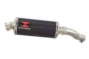 BWE Slip-On Carbon Ovaal 300mm voor CMX 500 REBEL 2017-2019