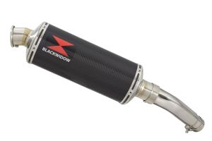 BWE Slip-On Carbon Ovaal 300mm voor GSX-S1000 & GSX-S 1000 F 2015-2020 (Nake