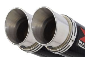 BWE Volledig systeem Carbon Rond 350mm voor ZX11 1990-2001
