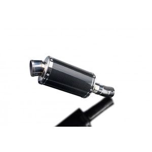 Delkevic slip-on kit Oval Carbon 225mm - CB1000R NEO 2018-19